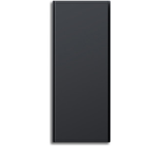 Radialight Icon 10 Θερμοπομπός Τοίχου 1000W Grey