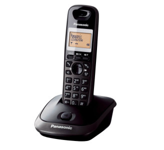 PANASONIC KX-TG2511GRT